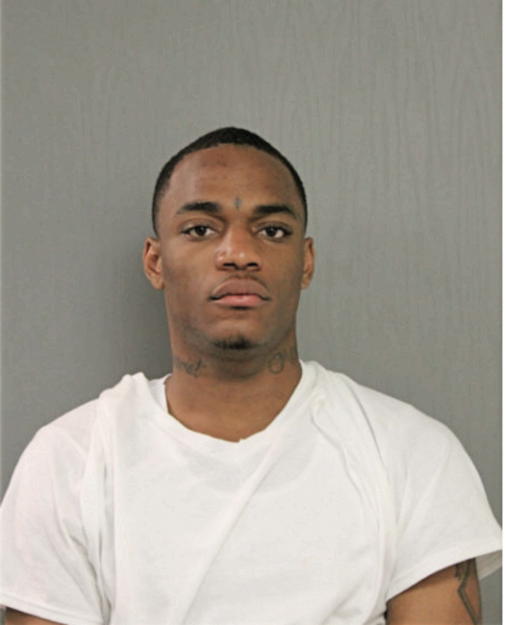 DAMON L ALLEN, Cook County, Illinois