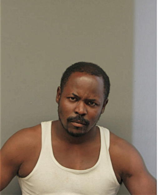 DEMETRICE D ALLEN, Cook County, Illinois