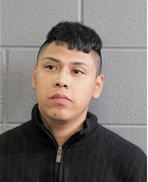 ANDRES ARTEAGA, Cook County, Illinois