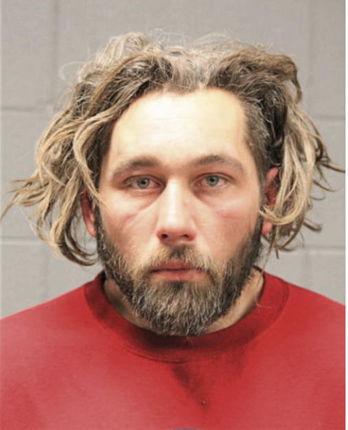 ANDREW P BEERS, Cook County, Illinois