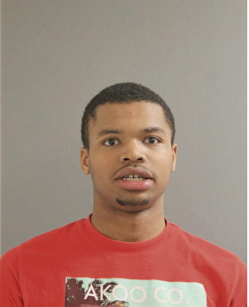 STEVE K BRADLEY, Cook County, Illinois