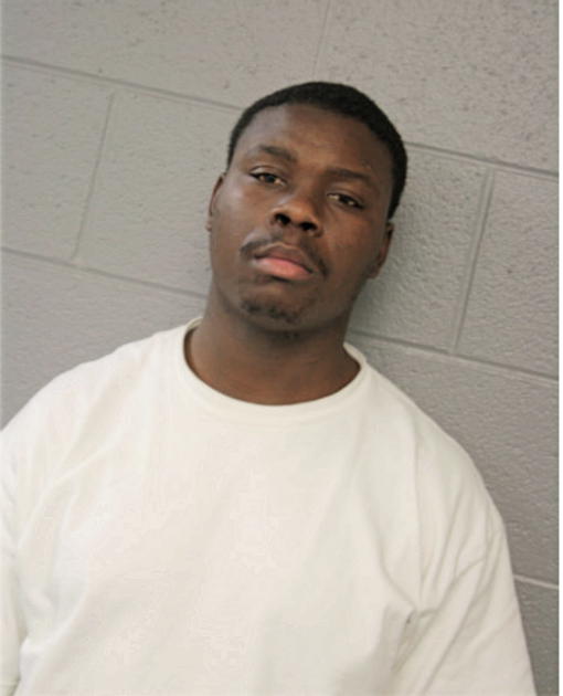 SEAN E BROWN, Cook County, Illinois