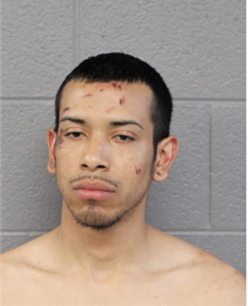 DIEGO G CABRERA, Cook County, Illinois