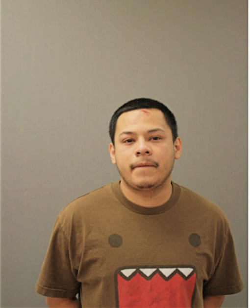 BRIAN CONRNEJO, Cook County, Illinois