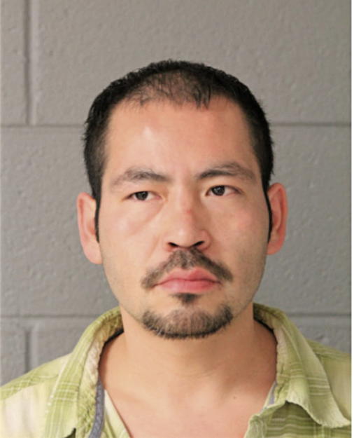 MELITON M DOMINGUEZ, Cook County, Illinois