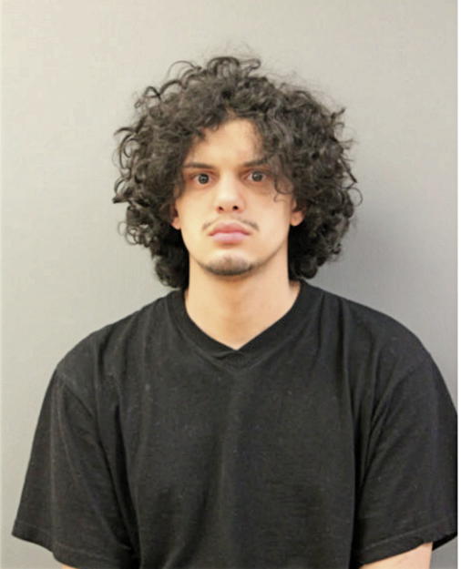 ALEX L HERNANDEZ, Cook County, Illinois