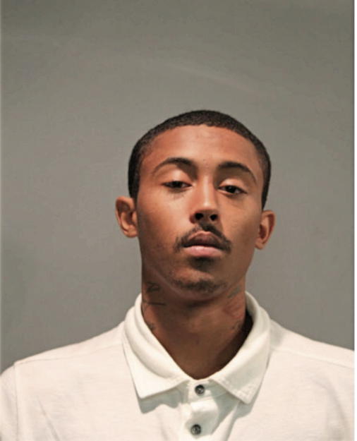 TYVON M HUDDLESTON, Cook County, Illinois