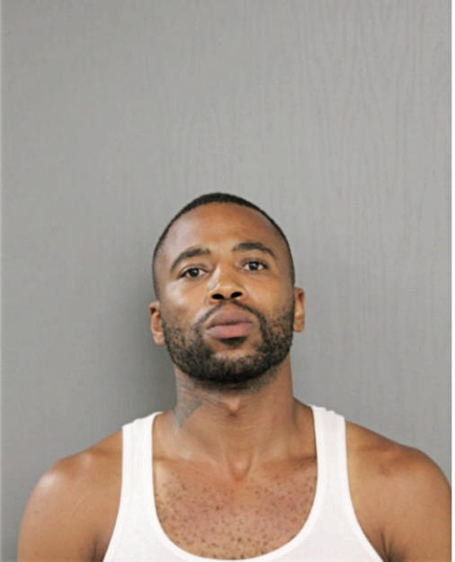 MICHAEL A JOHNSON, Cook County, Illinois
