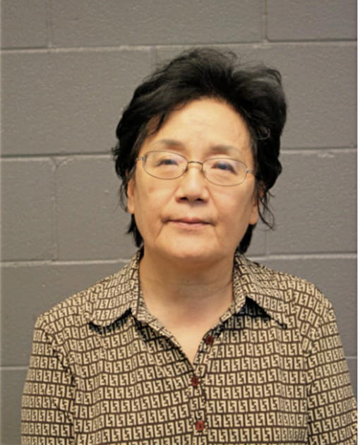 WON O KIM, Cook County, Illinois