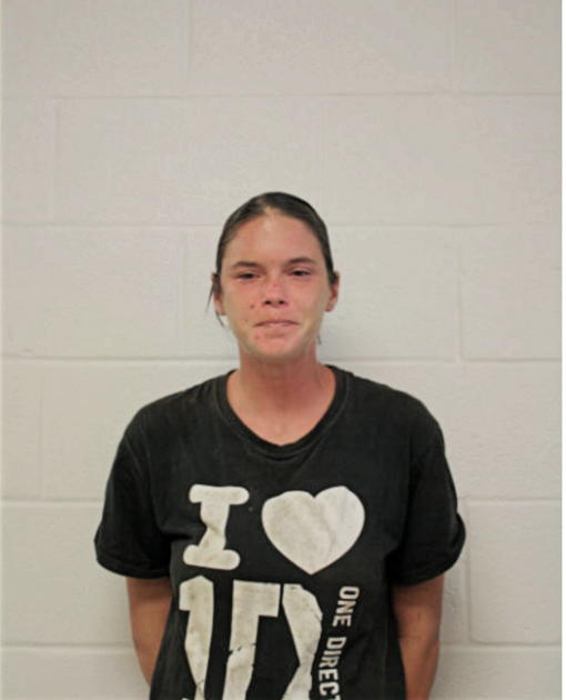CARRIE L. KINSLER, Cook County, Illinois