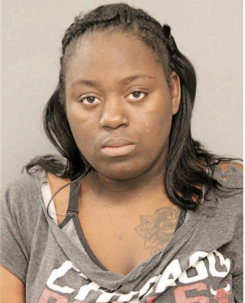 BRIANA A NORMAN, Cook County, Illinois