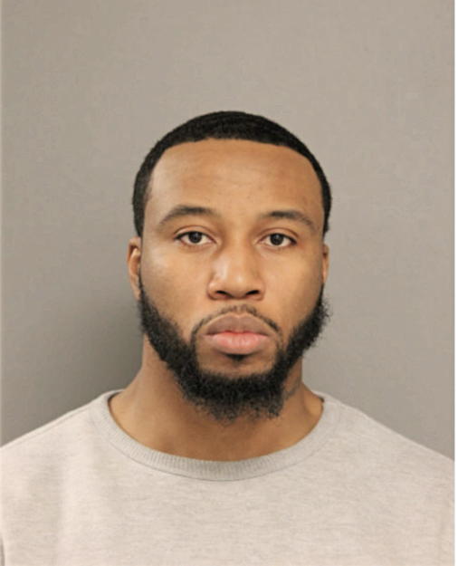 DAVID C OKEKE, Cook County, Illinois