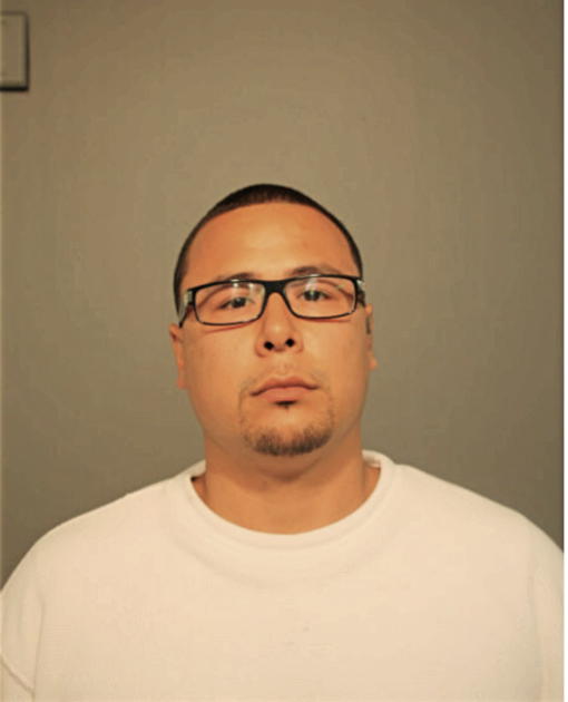 MICHAEL ROSARIO, Cook County, Illinois