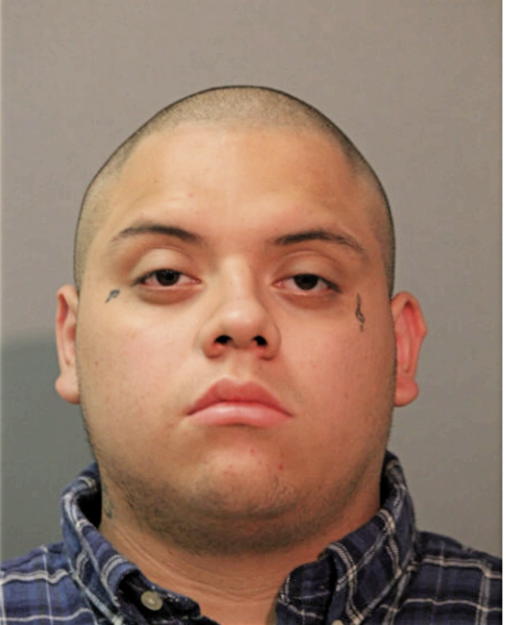 MICHAEL J SALGADO, Cook County, Illinois