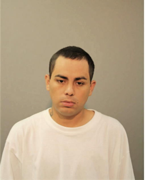 MISAEL SANTILLIAN, Cook County, Illinois