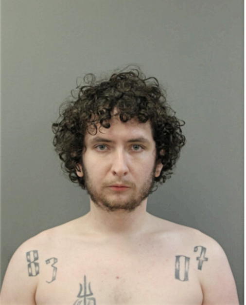 MICHAEL P SORDYL, Cook County, Illinois