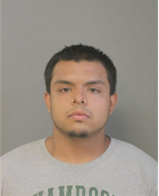 SERGIO SOTO, Cook County, Illinois