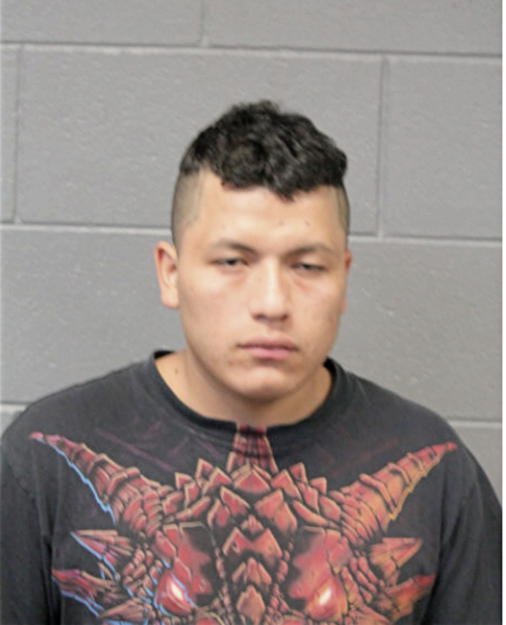 JOSE AMADEO TIRADO, Cook County, Illinois