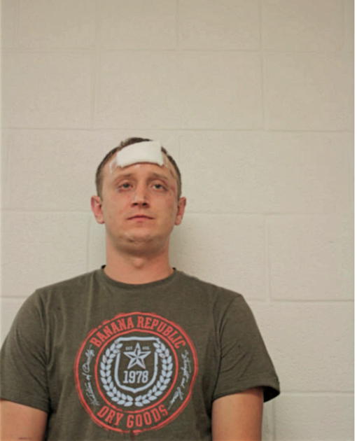 VIKTOR ZAIETS, Cook County, Illinois