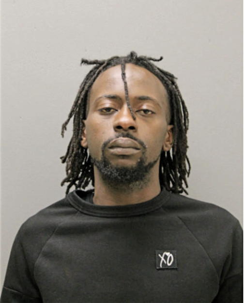 MICHAEL M ADEDOYIN, Cook County, Illinois
