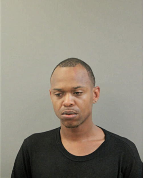 BRANDON J AMISON, Cook County, Illinois