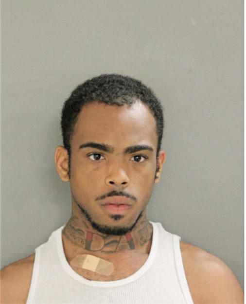 WRENTLESS J BRIMMER, Cook County, Illinois