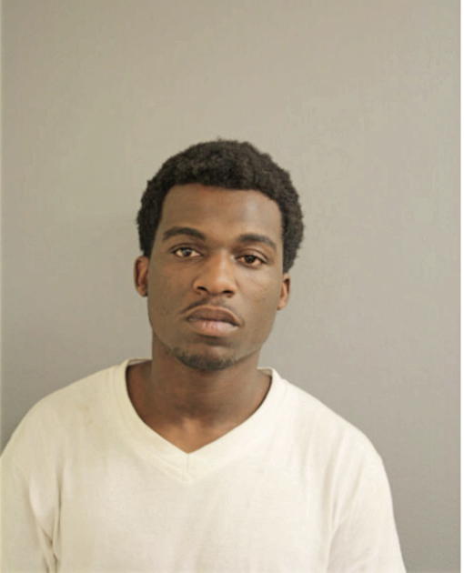 LEARIES ARTEUS BROWN, Cook County, Illinois