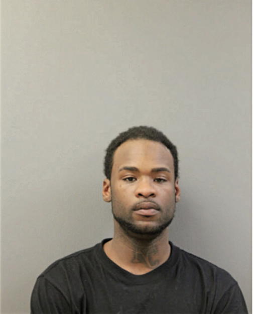 PATRICK D PAUL, Cook County, Illinois