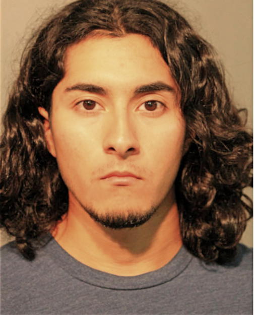 AARON I DEAGUEROS, Cook County, Illinois