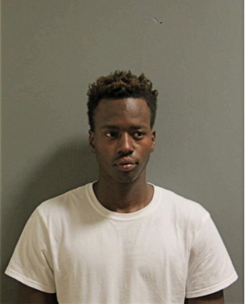 ANTWON T DRAKE, Cook County, Illinois