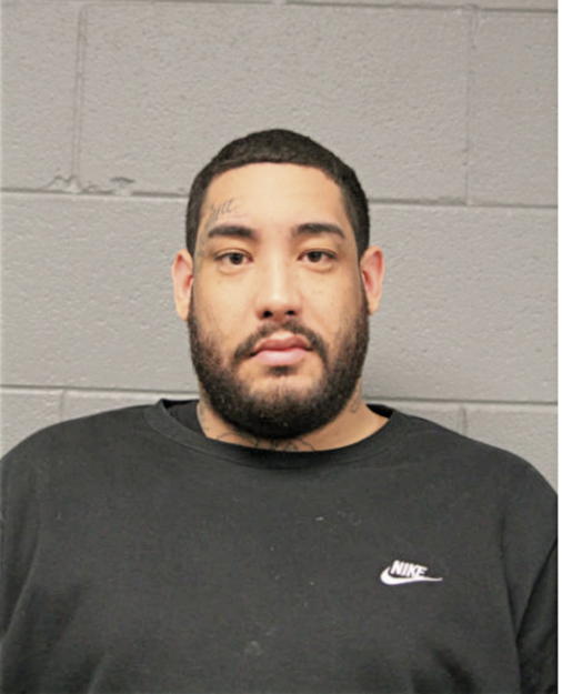 ROGELIO J DUCO, Cook County, Illinois