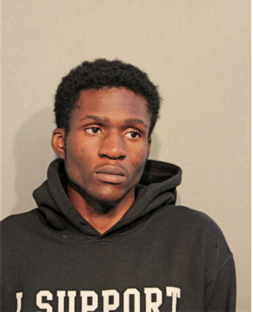 ADEWALE FATOBA, Cook County, Illinois