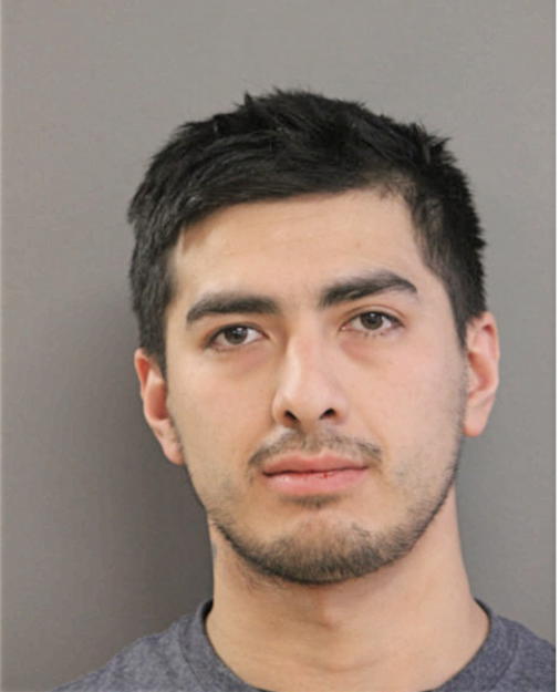 JOSE A FERNANDEZ, Cook County, Illinois