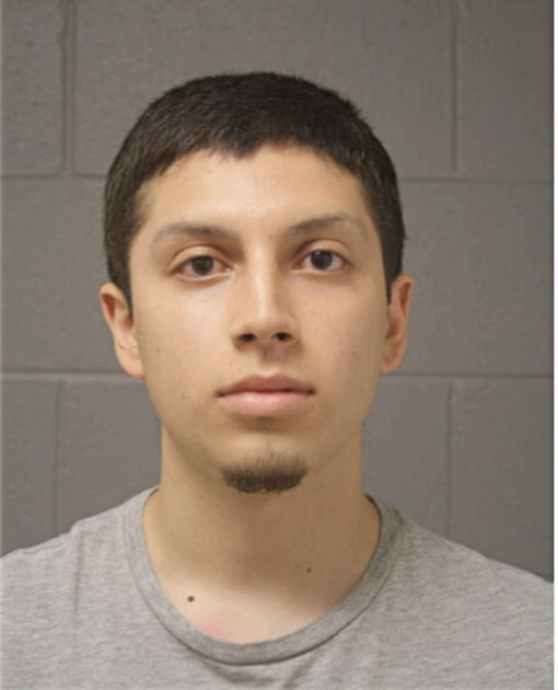 GIOVANNI G GIRON, Cook County, Illinois