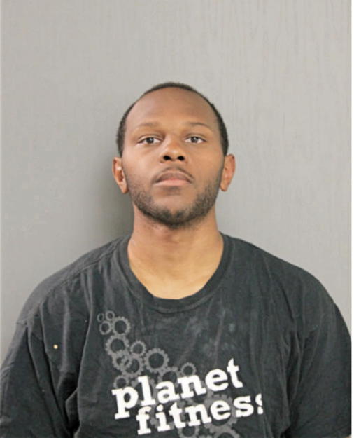 ROBERT L GOGGINS, Cook County, Illinois