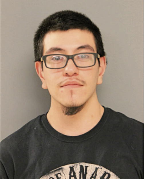 MICHAEL A GONZALEZ, Cook County, Illinois