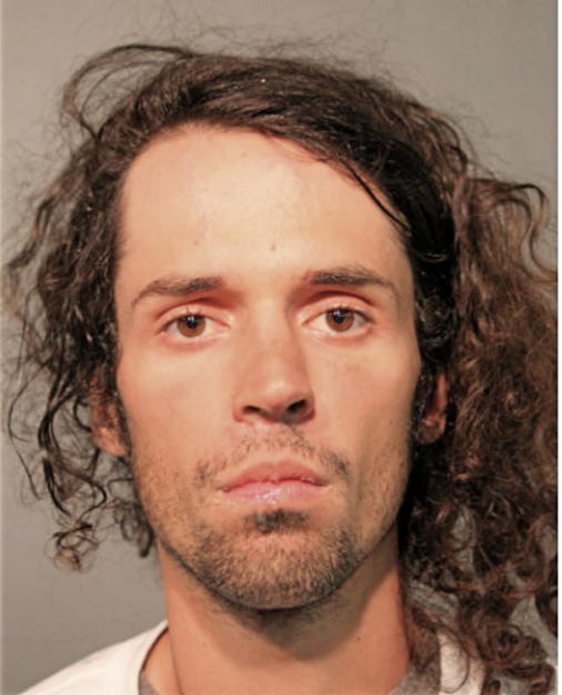 TAYLER MATTHEW GREENE, Cook County, Illinois