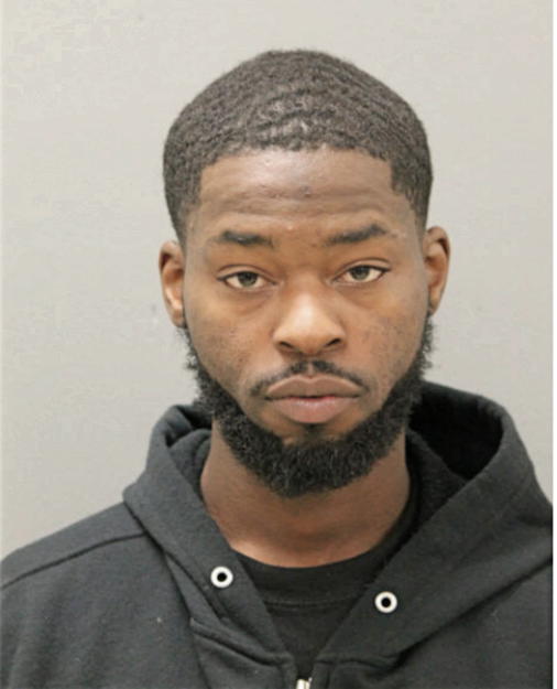 SEAN D HENDERSON, Cook County, Illinois