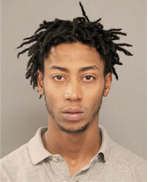 BRUCE J HENDRIX-WILLIAMS, Cook County, Illinois