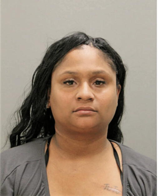 MICHELLE A JOHNSON, Cook County, Illinois