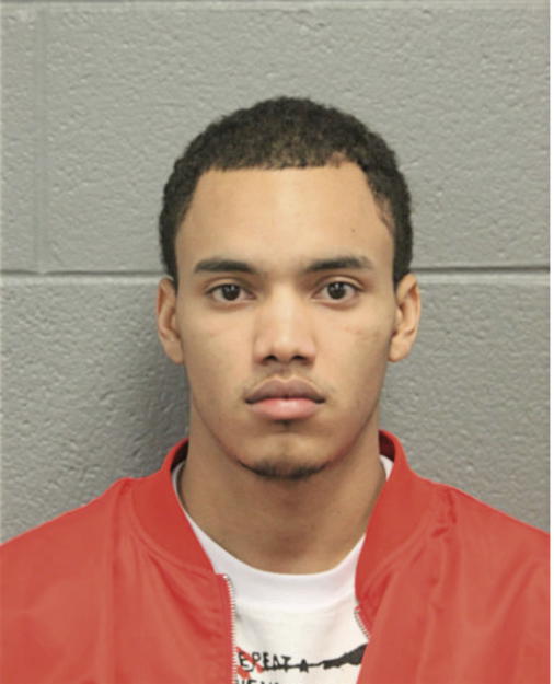 ROMEO M LEWIS, Cook County, Illinois