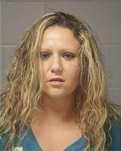 LISA MCGUIRE, Cook County, Illinois