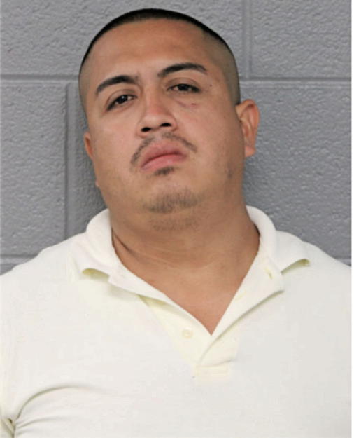 ALFREDO F MIRANDA, Cook County, Illinois