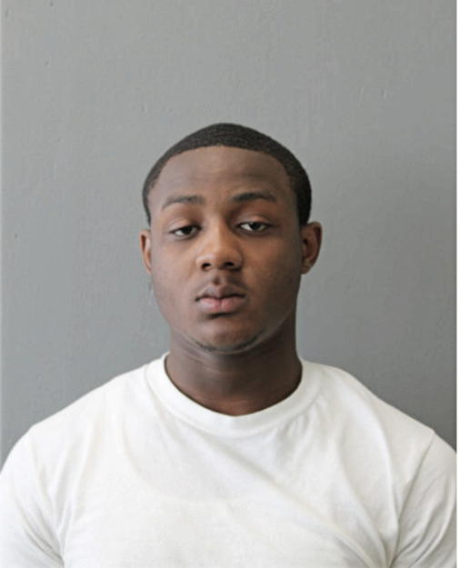 RAY B OWENS, Cook County, Illinois