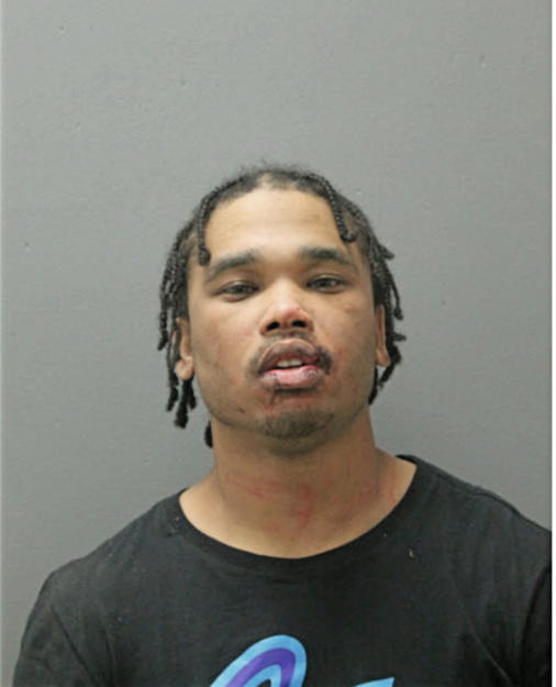 BRANDON W POWELL, Cook County, Illinois