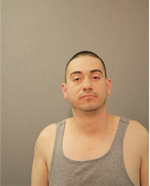 NELSON SOLIZ-VIDAL, Cook County, Illinois