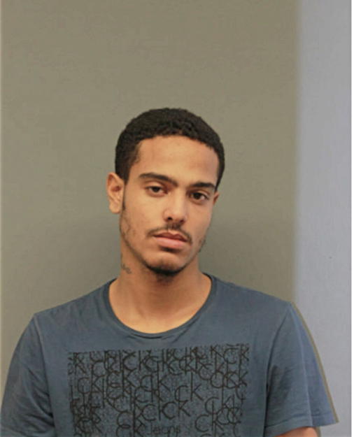 MICHAEL K WILLIAMS, Cook County, Illinois