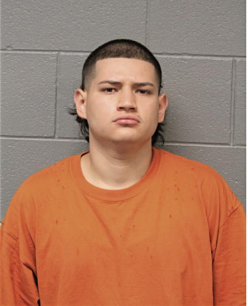 FRANCISCO J ALVARES, Cook County, Illinois