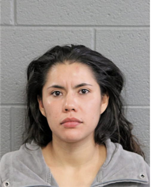 VANESA AVINA, Cook County, Illinois