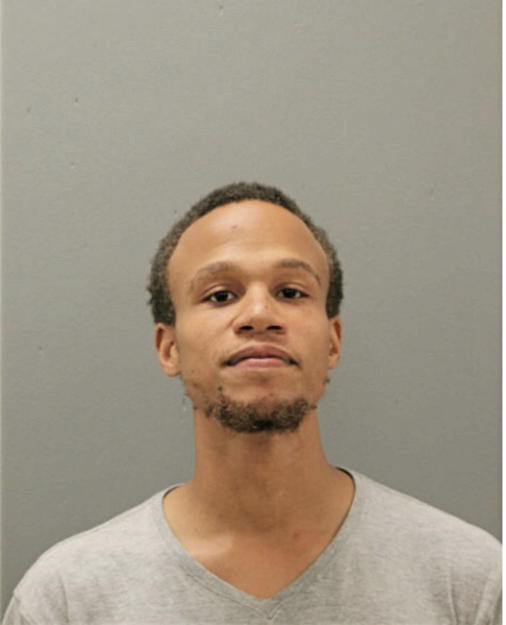 BRANDON R BRICE, Cook County, Illinois